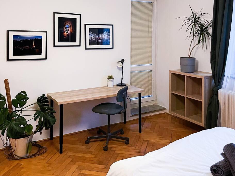 Rodinny Byt Pro 4 Na Brno-Stred Kültér fotó